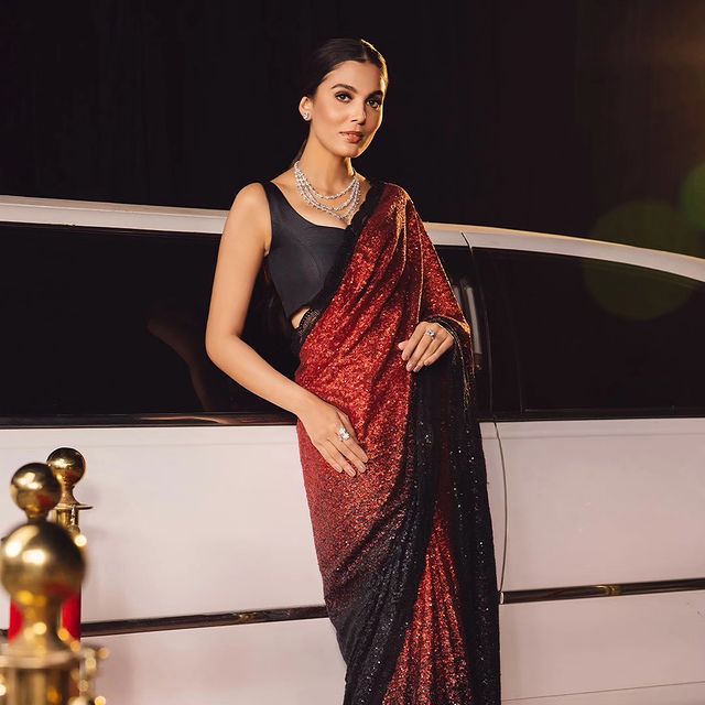 Embelished velvet Saree