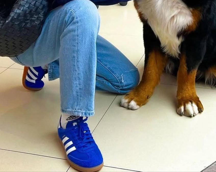 Adidas Originals Samba Royal Blue