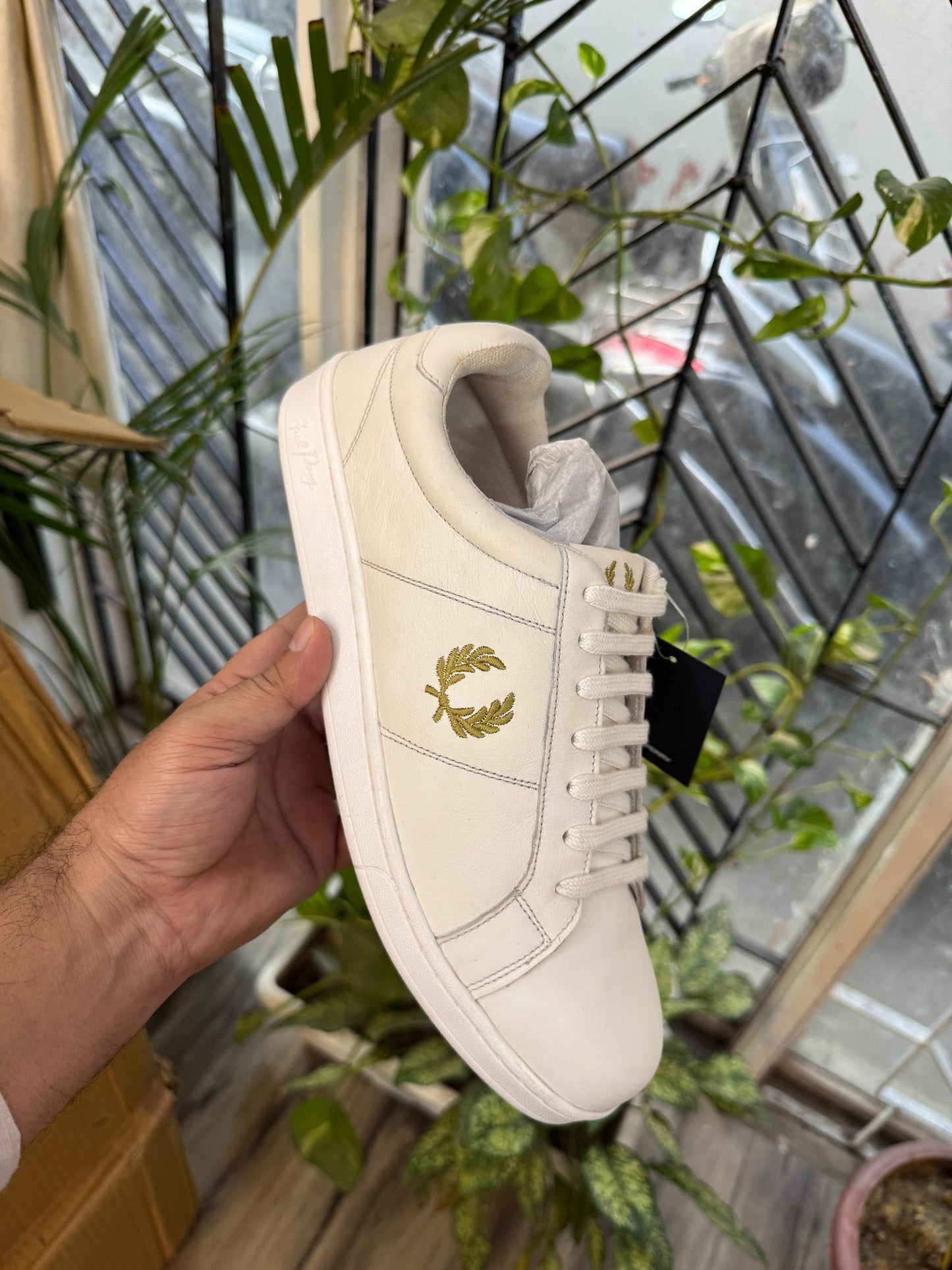 Fred Perry Surplus Shoes – Premium Quality, Available in UK Sizes 6-11