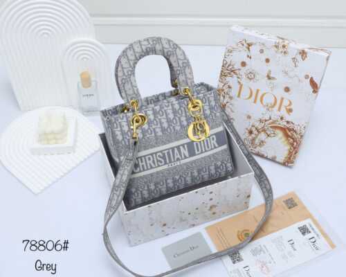 Christian Dior Lady D-Lite Bag - 12A Quality / Mirror Copy