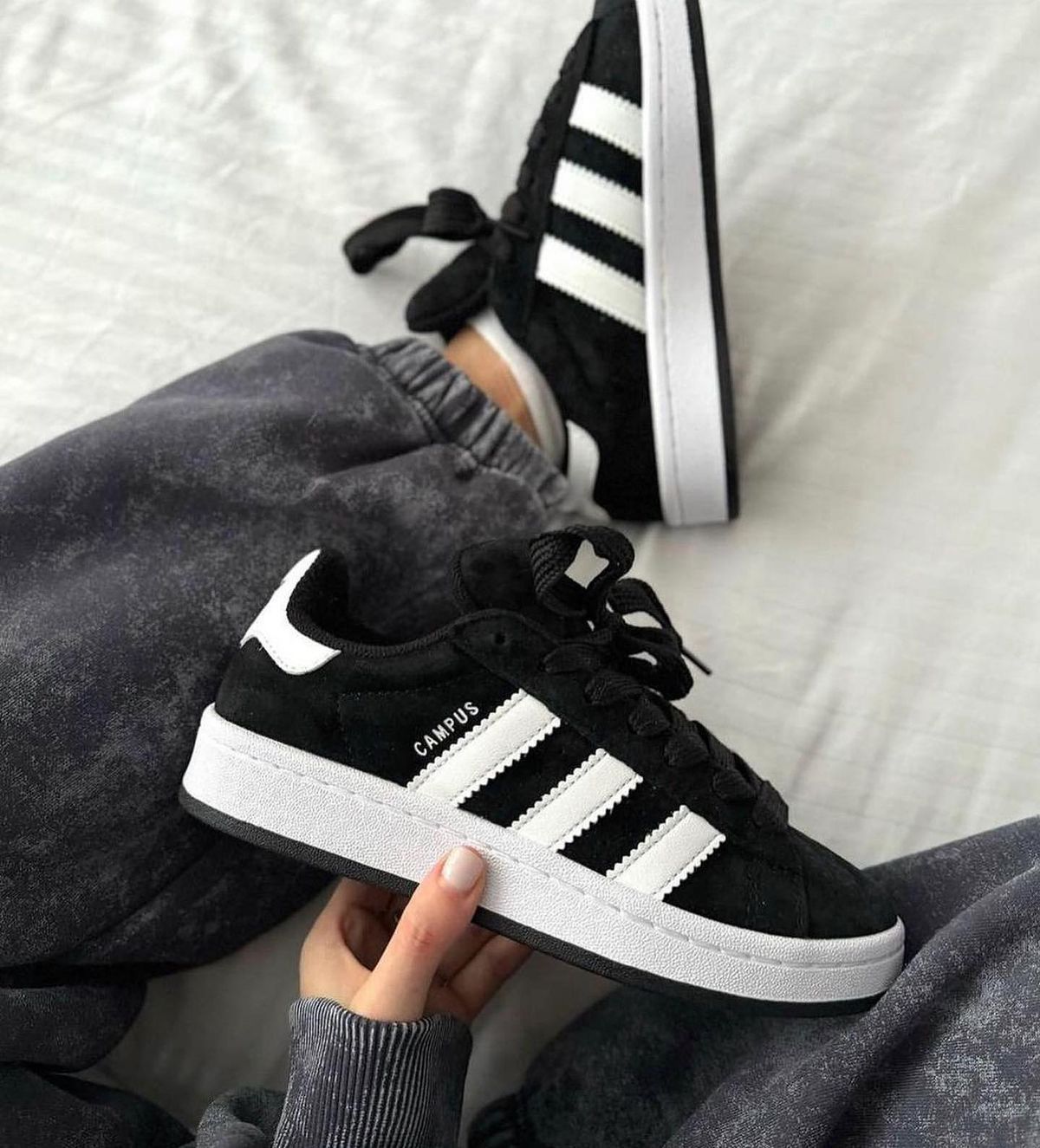 Adidas campus Shoes