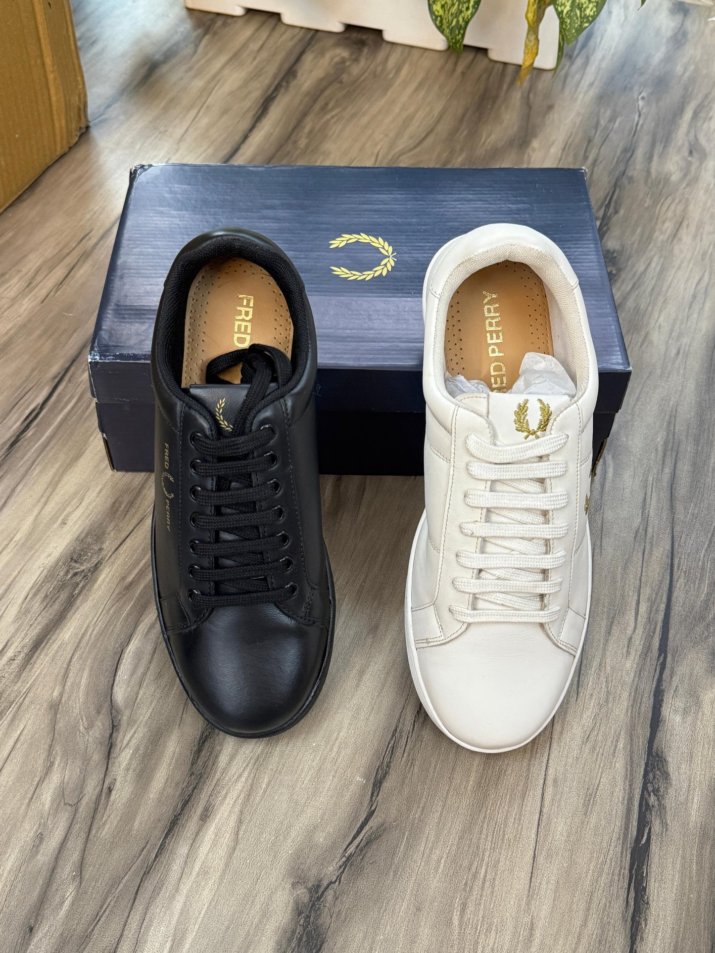 Fred Perry Surplus Shoes – Premium Quality, Available in UK Sizes 6-11